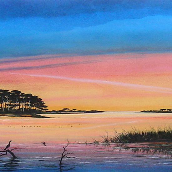 Barrier Light Snag 28x 56  Oil on paper