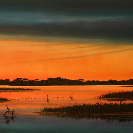 Barrier Light-Late 42x58  Oil on paper